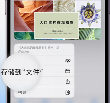 林甸apple维修中心分享iPhone文件应用中存储和找到下载文件