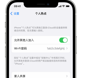 林甸apple服务站点分享iPhone上个人热点丢失了怎么办