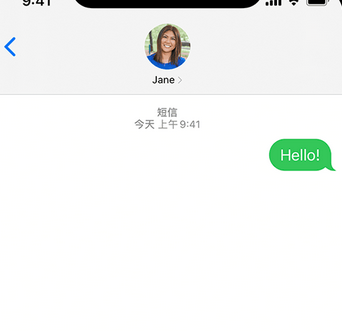 林甸apple维修iPhone上无法正常发送iMessage信息