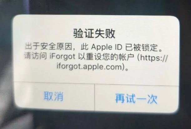 林甸iPhone维修分享iPhone上正常登录或使用AppleID怎么办 