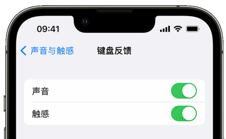 林甸苹果手机维修分享iPhone 14触感键盘使用方法 