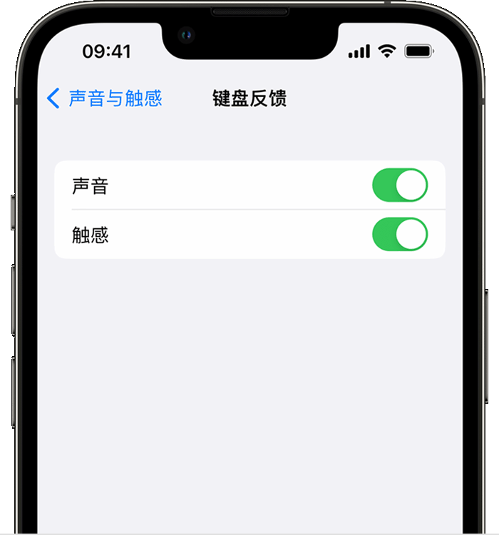 林甸苹果14维修店分享如何在 iPhone 14 机型中使用触感键盘 