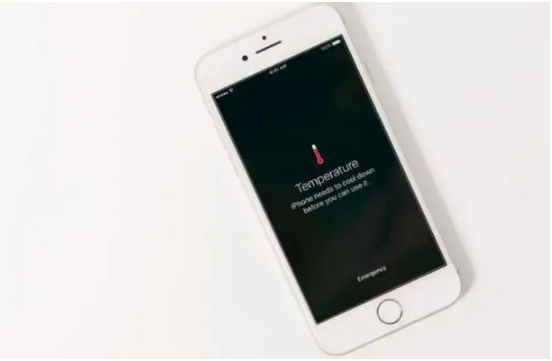 林甸苹果手机维修分享iPhone 手机发热如何快速降温 
