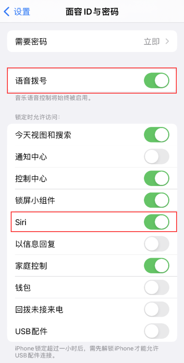 林甸苹果维修网点分享不解锁 iPhone 的情况下通过 Siri 拨打电话的方法 