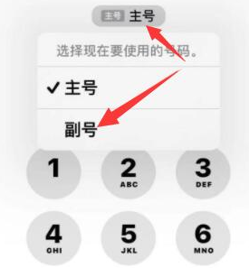 林甸苹果14维修店分享iPhone 14 Pro Max使用副卡打电话的方法 