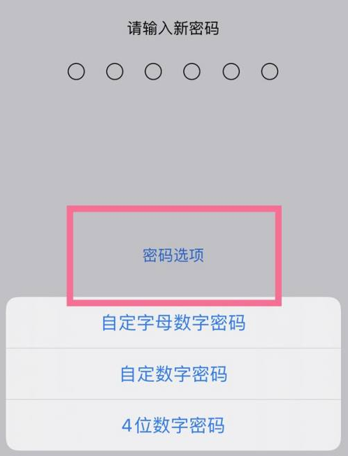 林甸苹果14维修分享iPhone 14plus设置密码的方法 