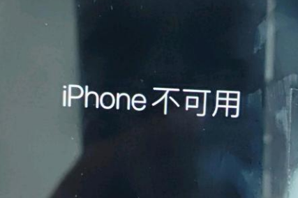 林甸苹果服务网点分享锁屏界面显示“iPhone 不可用”如何解决 