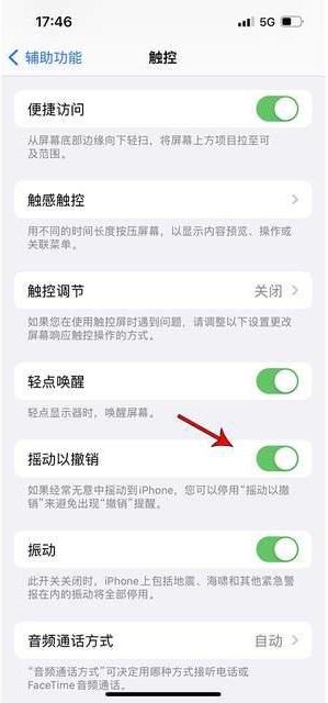 林甸苹果手机维修分享iPhone手机如何设置摇一摇删除文字 