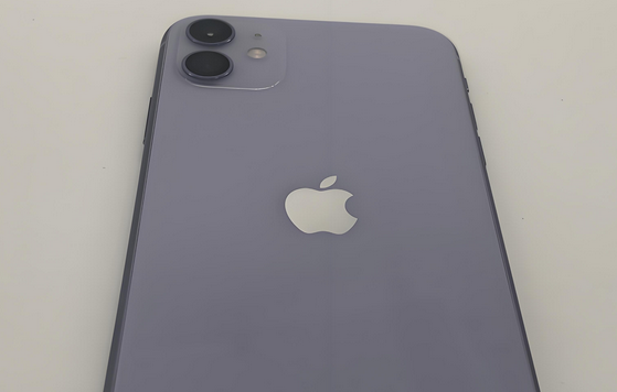 林甸苹果11系统维修分享iPhone11手机系统崩溃无法开机如何解决 