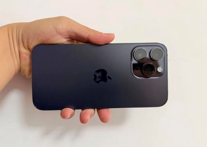 林甸苹果维修点分享iPhone 14 Pro Max黑屏少见故障盘点 
